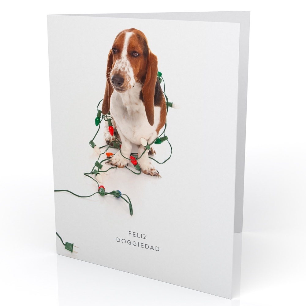 Feliz Doggiedad notecard